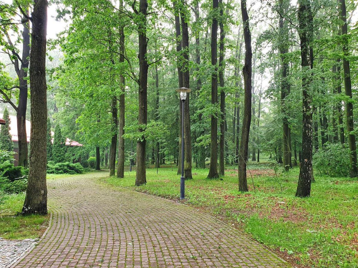 Stacja Nowa Gdynia Bed & Breakfast Aquapark Zgierz Luaran gambar