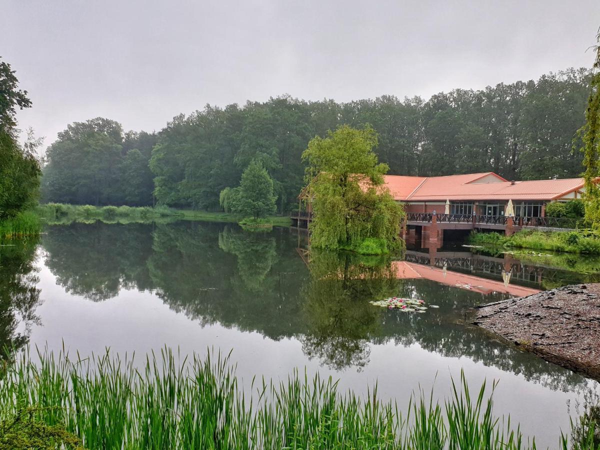 Stacja Nowa Gdynia Bed & Breakfast Aquapark Zgierz Luaran gambar