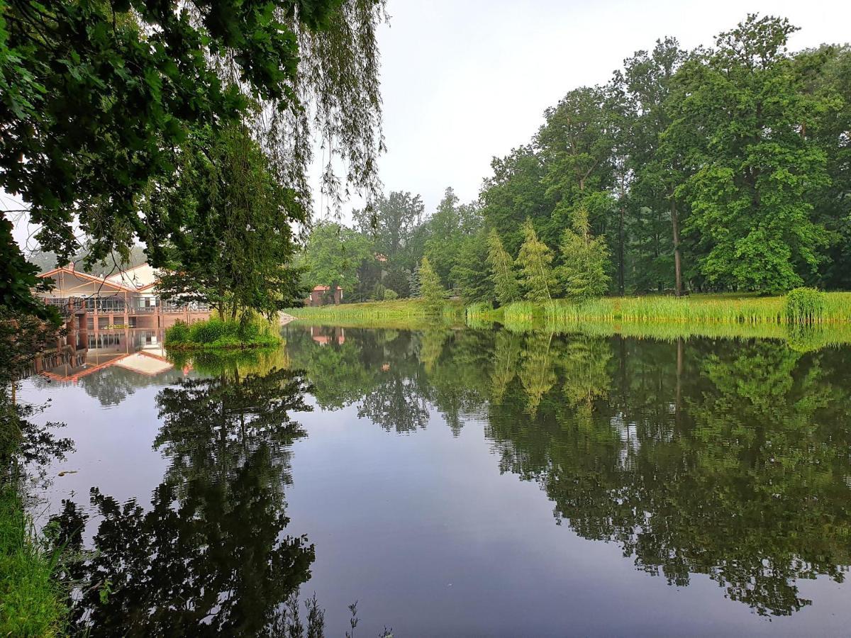 Stacja Nowa Gdynia Bed & Breakfast Aquapark Zgierz Luaran gambar