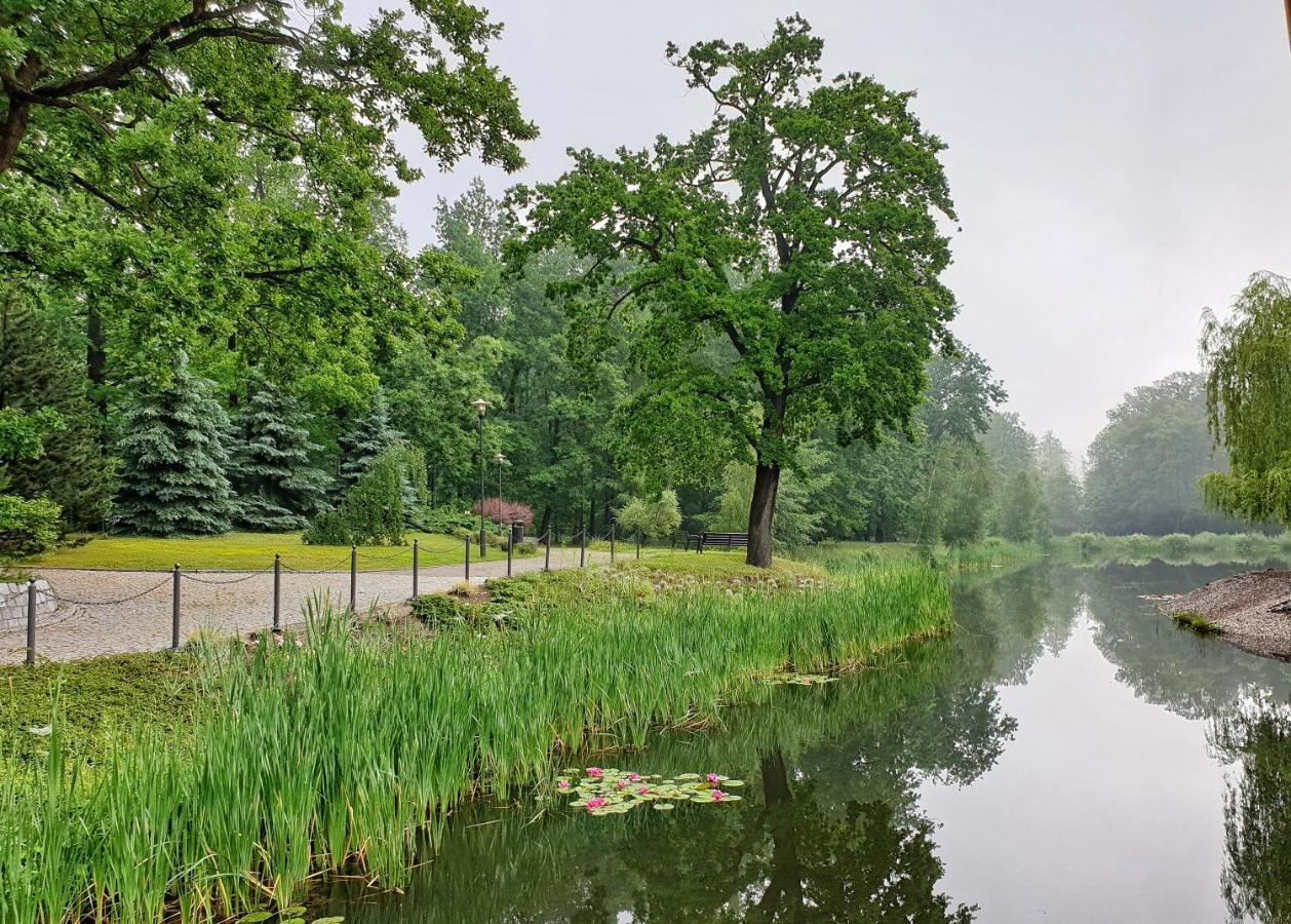 Stacja Nowa Gdynia Bed & Breakfast Aquapark Zgierz Luaran gambar