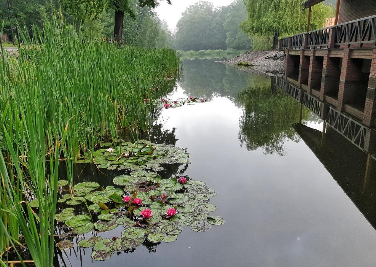 Stacja Nowa Gdynia Bed & Breakfast Aquapark Zgierz Luaran gambar