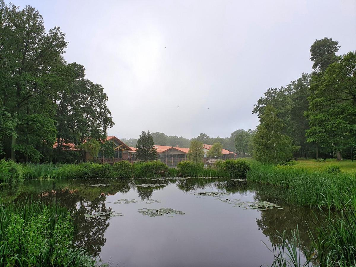 Stacja Nowa Gdynia Bed & Breakfast Aquapark Zgierz Luaran gambar
