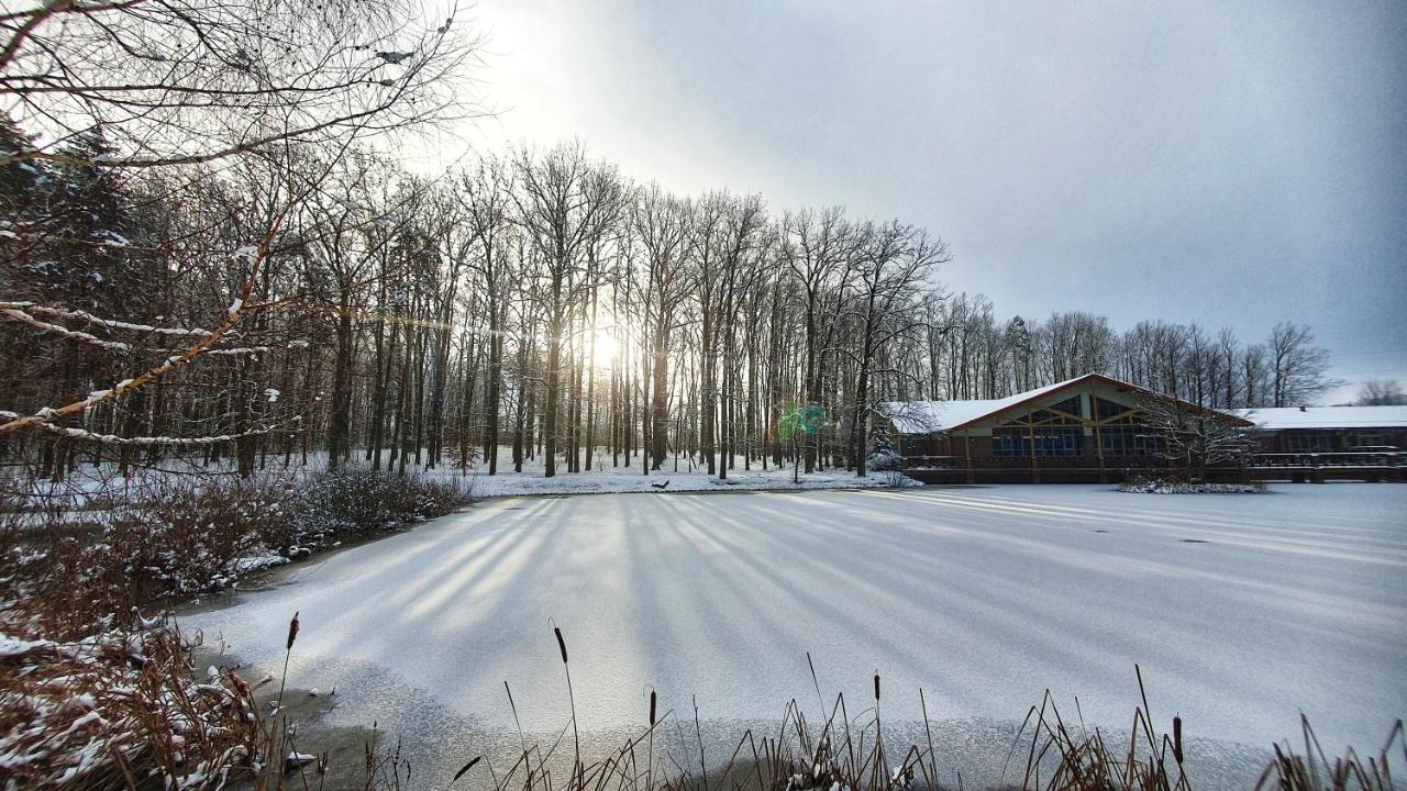 Stacja Nowa Gdynia Bed & Breakfast Aquapark Zgierz Luaran gambar