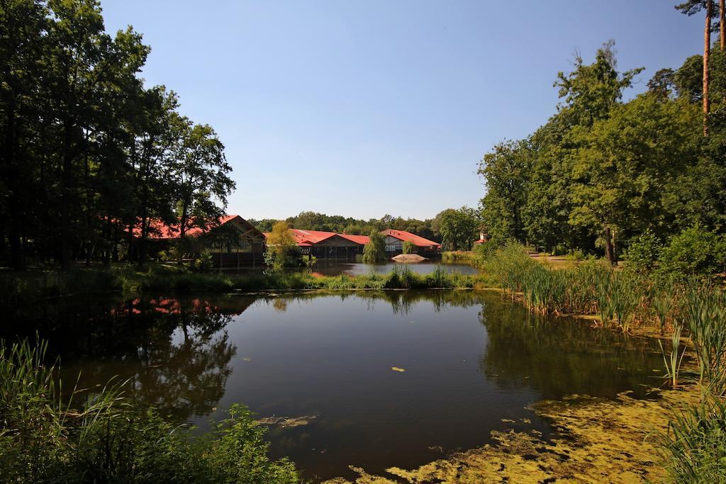 Stacja Nowa Gdynia Bed & Breakfast Aquapark Zgierz Luaran gambar